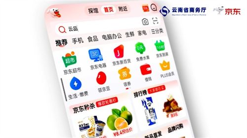 四季云品，產(chǎn)地云南 電商年貨節(jié)盛典啟幕，點燃新春消費熱情